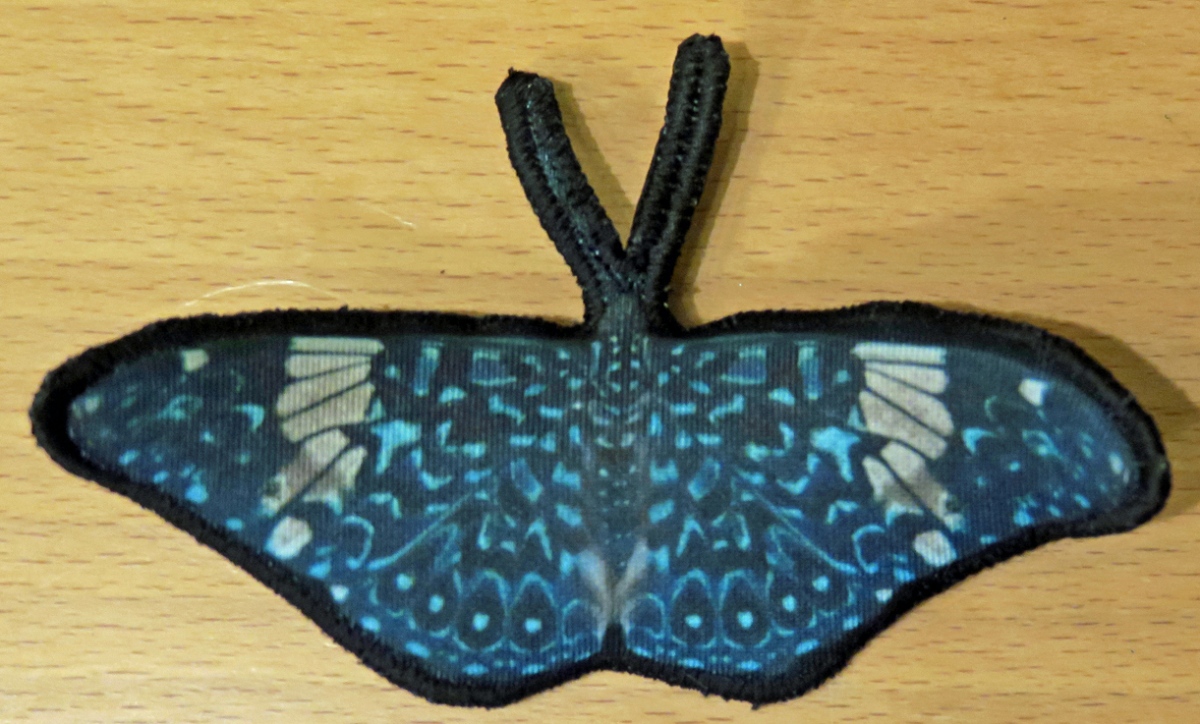 blue-butterfly-1