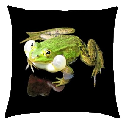 Frog cushion front