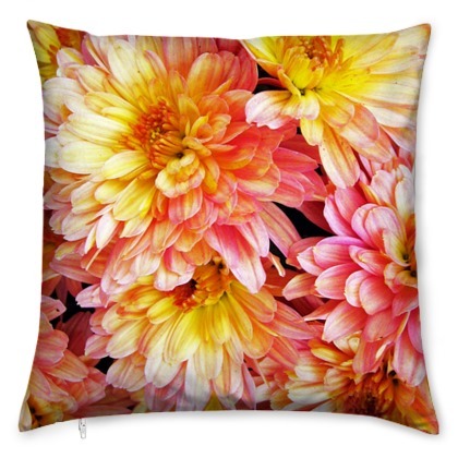 kis_orange_pink_tagetes-1