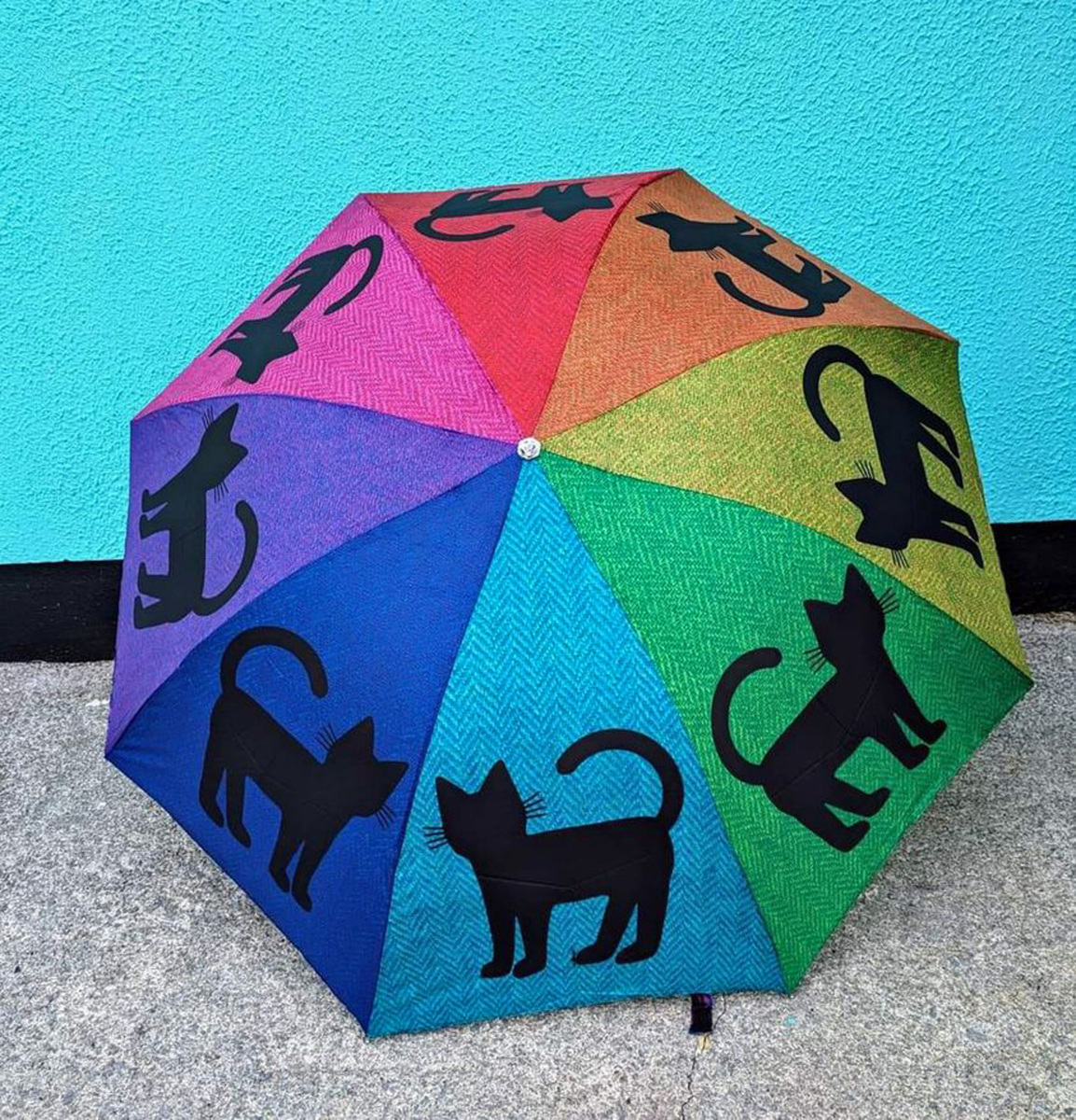 cat_umbrella